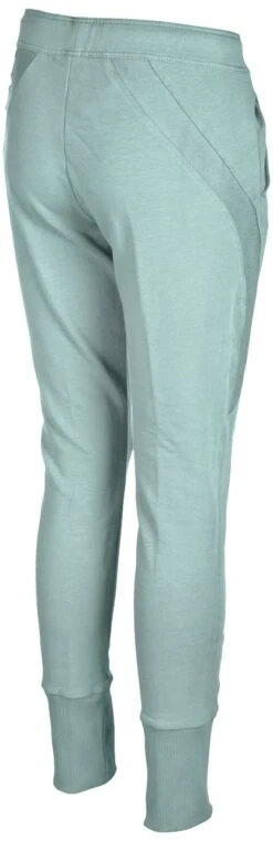 Pantalon Femme Arena W Gym Pant Frozen -France Natation 000945 850 w gym pant 004 br s