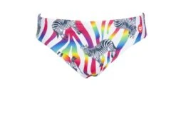 Maillot De Bain Arena Homme Crazy Zebras Brief Multicolor -France Natation 002908 850 m crazy zebras brief 005 f s