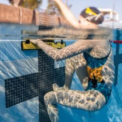 Bloc De Départ Finis BACKSTROKE START WEDGE 15 Bloc De Départ Finis BACKSTROKE START WEDGE -France Natation 1.30.031 usage.main 13