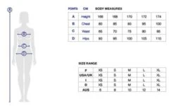 Tee-Shirt Arena W Gym S/S Mesh Solid Frozen -France Natation gym wommen 2